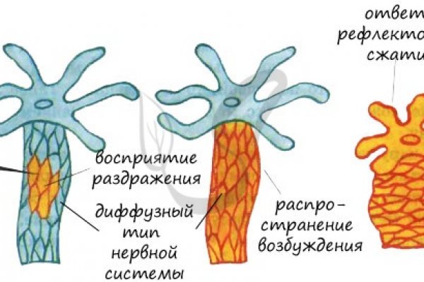 Рабочая ссылка кракен в тор