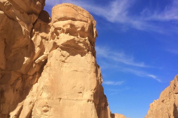 Кракен сайт что будет если зайти