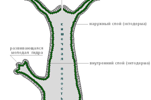 Ссылка на кракен официальный сайт